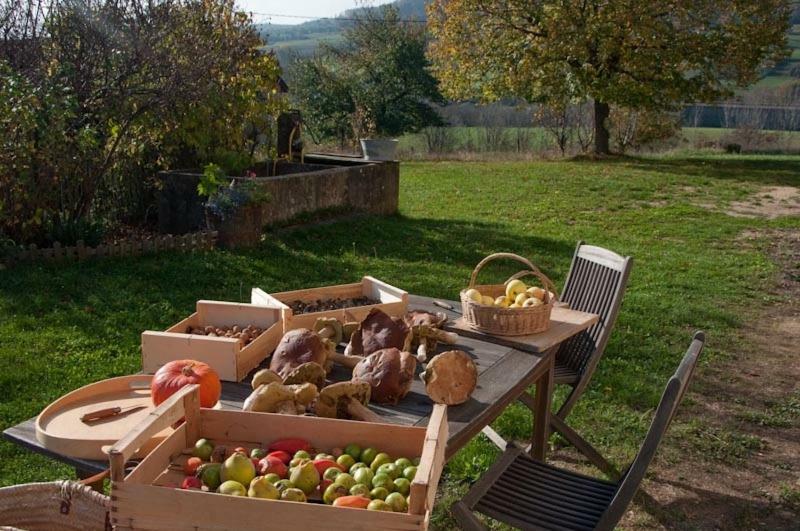 Gite La Grange Du Haut Saint-Antoine  Экстерьер фото