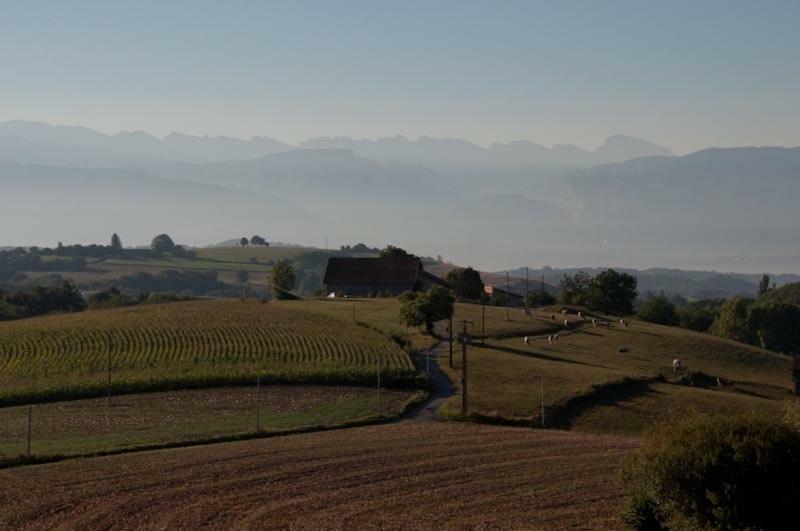 Gite La Grange Du Haut Saint-Antoine  Экстерьер фото